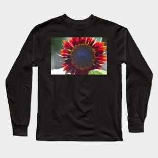 Sun Fire Long Sleeve T-Shirt